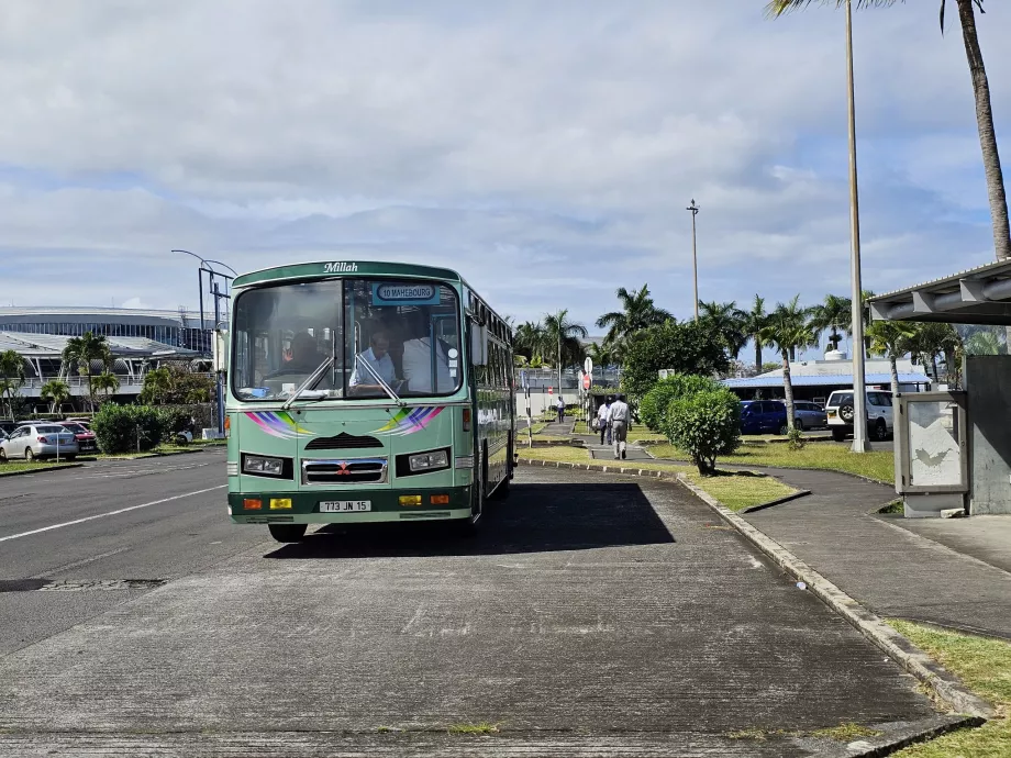 Bus - transport public