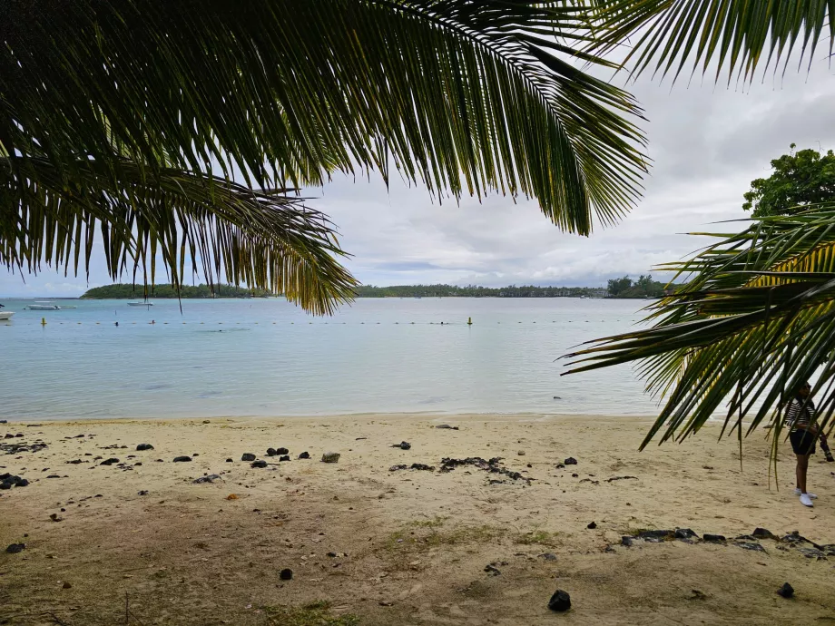 Baie bleue