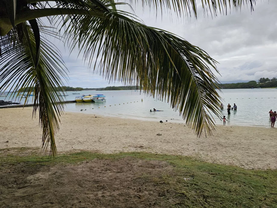 Baie bleue