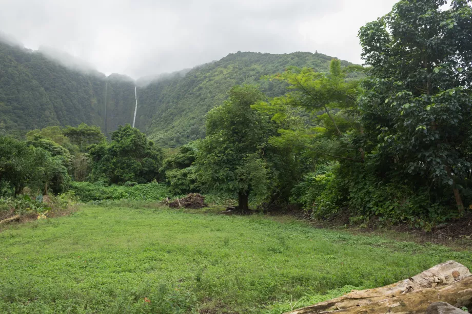 Chutes de Hiilawae