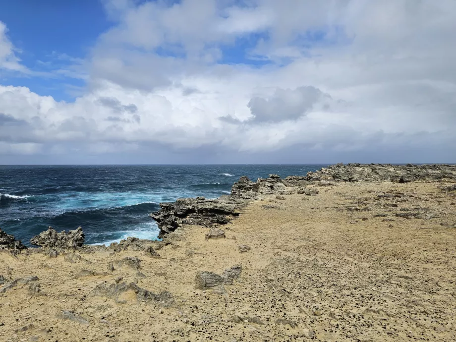 Combien au Phare