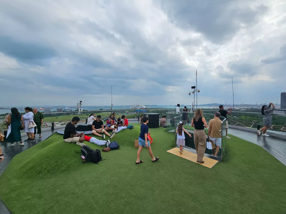 Observatoire Supertree