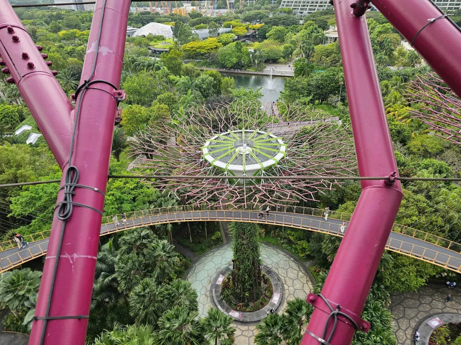 Observatoire Supertree