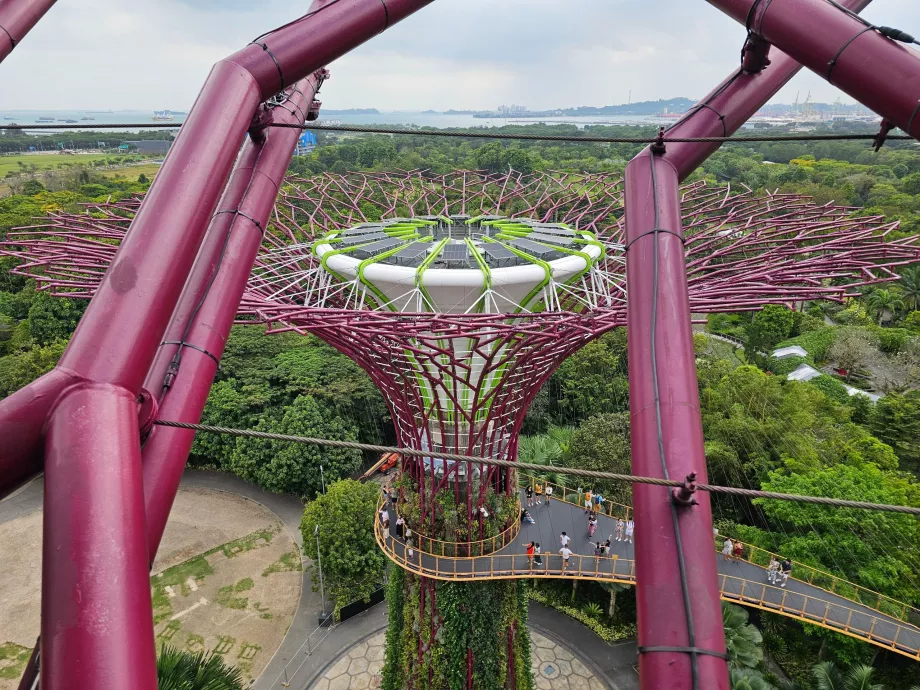 Observatoire Supertree
