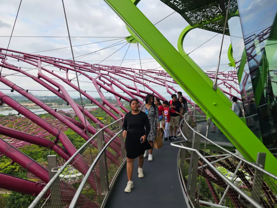 Observatoire Supertree