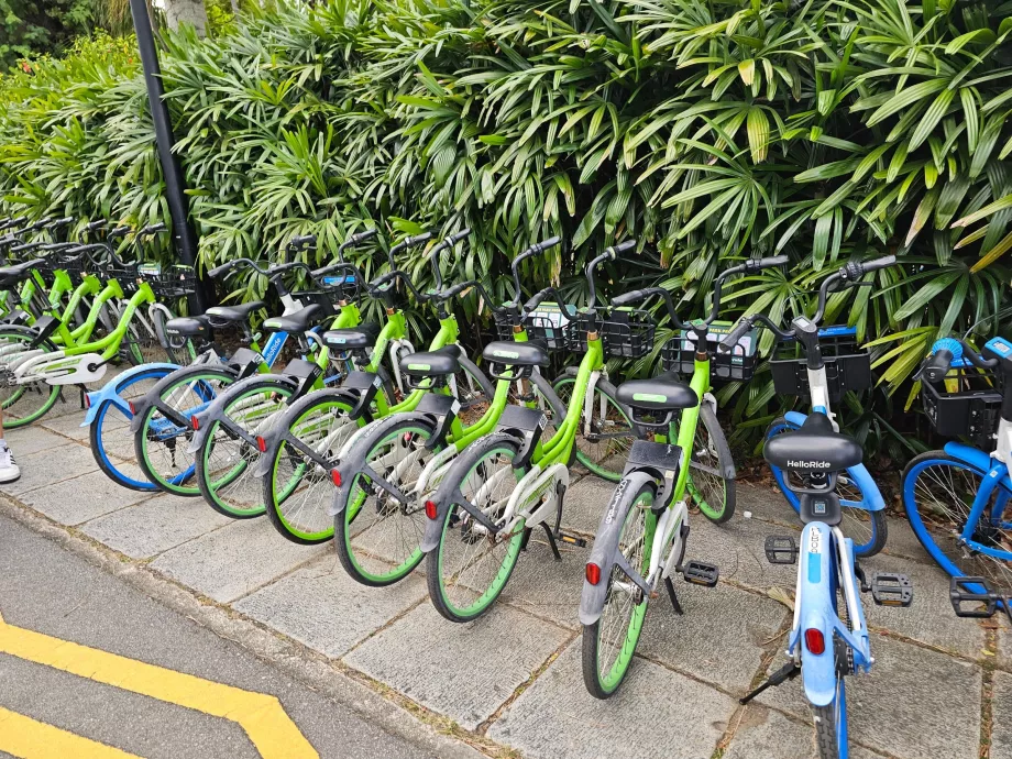 Vélos partagés à Singapour