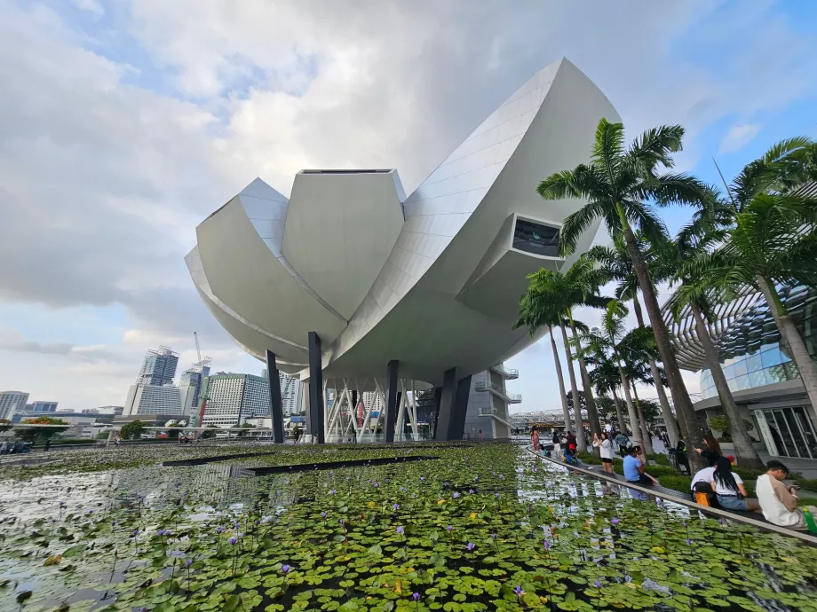 Musée des sciences de l'art