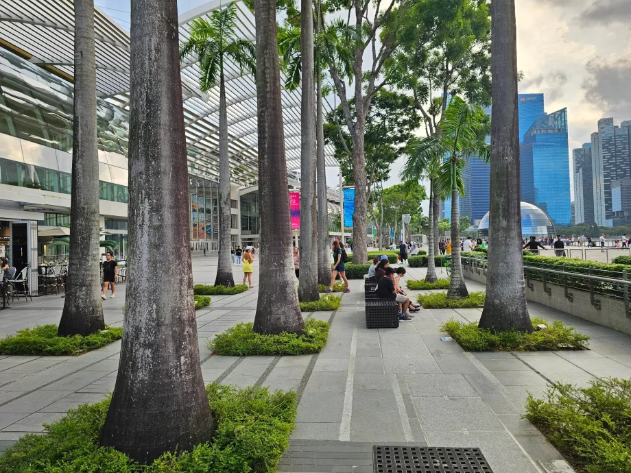 Promenade devant le MBS