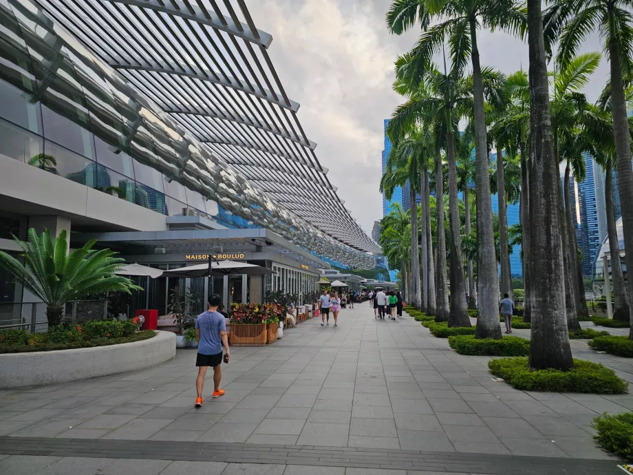 Promenade devant le MBS