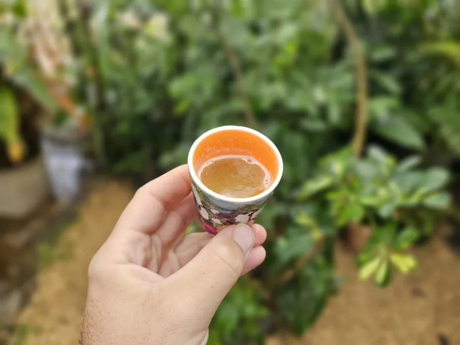 Jus de canne à sucre