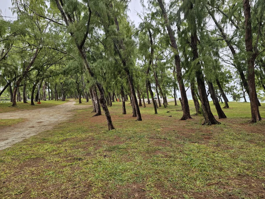 Parc à Belle Mare