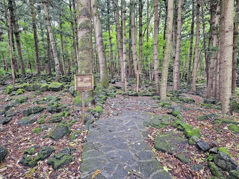 Parc national du Bras d'Eau, sentier de randonnée