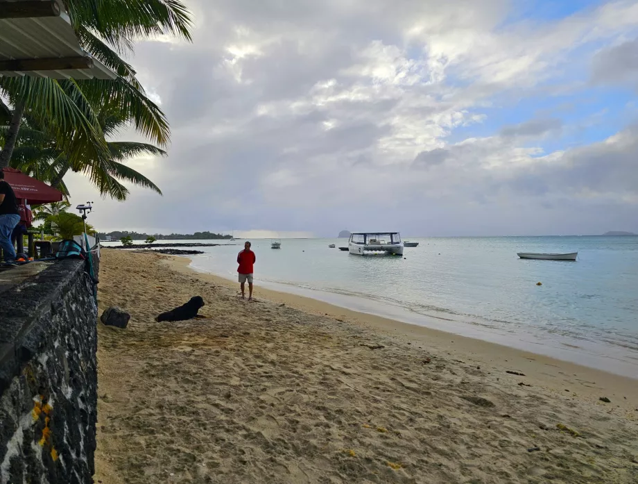 Plage du Grand Gaube