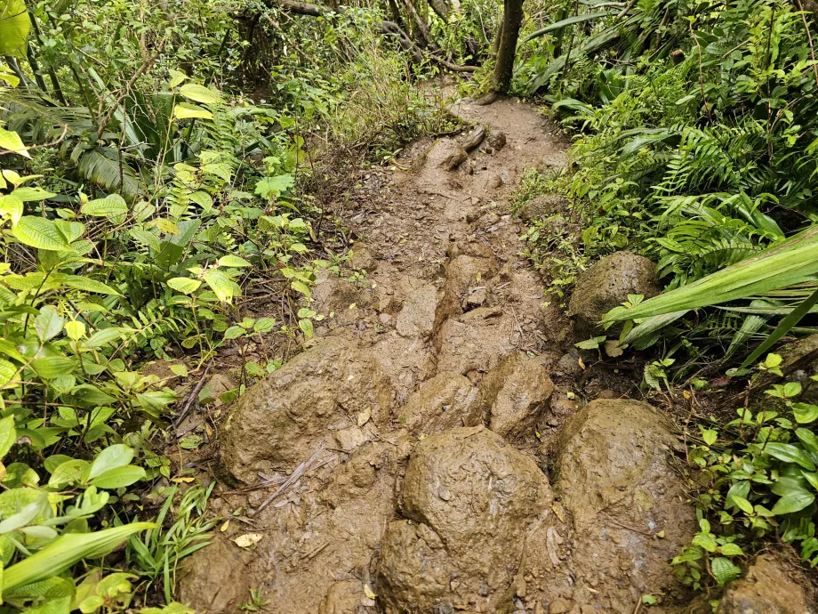 Sentier des 7 Cascades