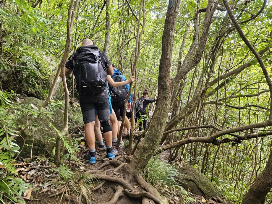 Sentier le long des 7 Cascades