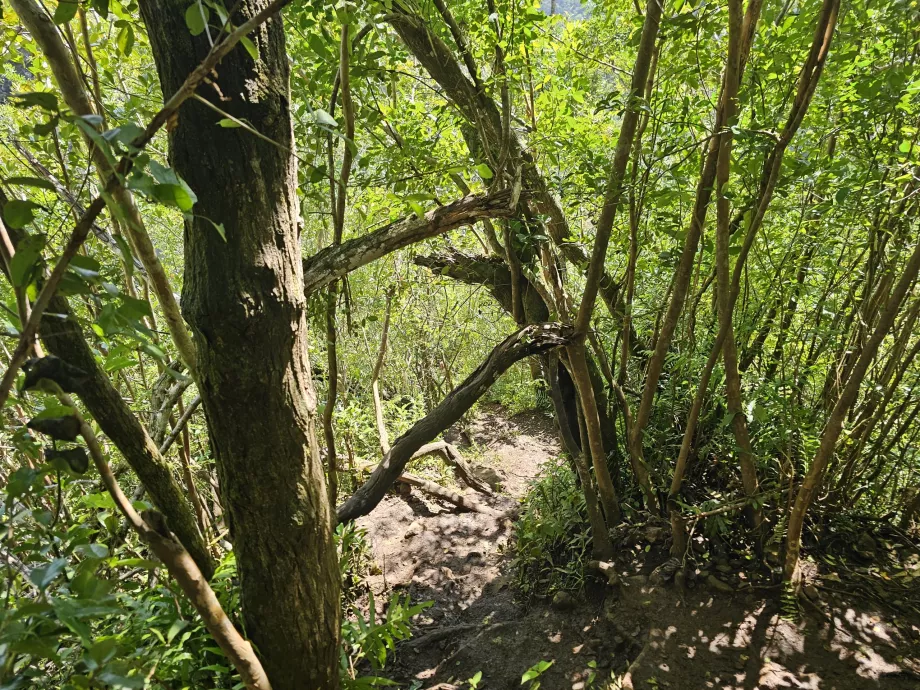 Sentier des 7 Cascades
