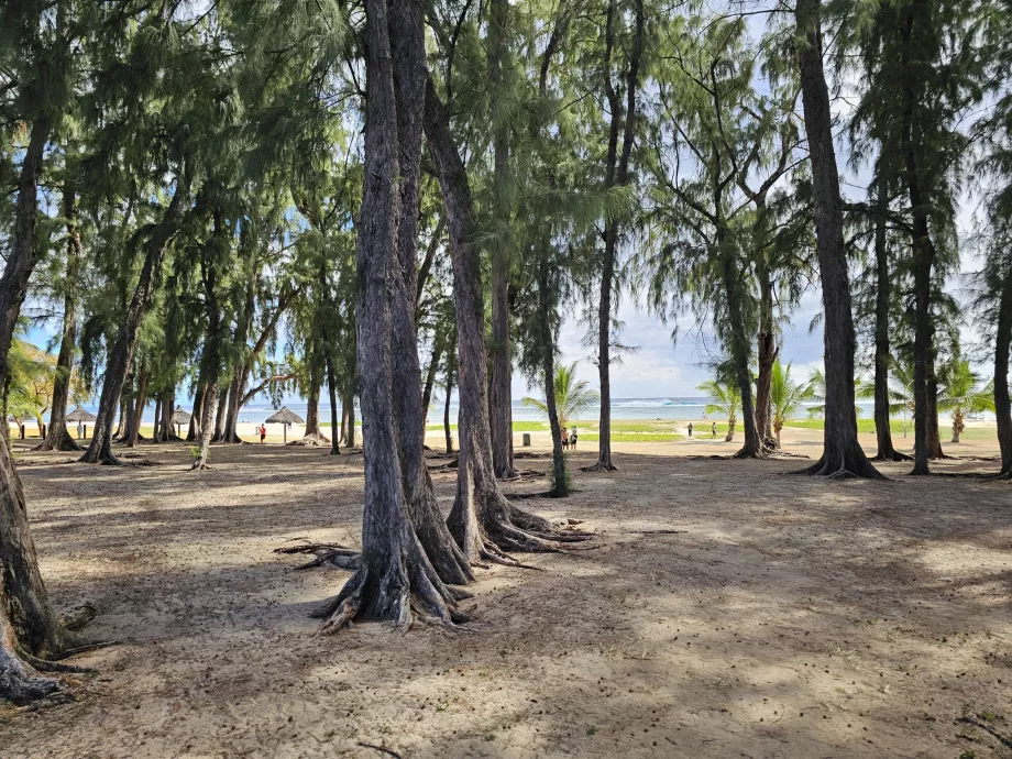 Parc de la plage de Flic en Flac