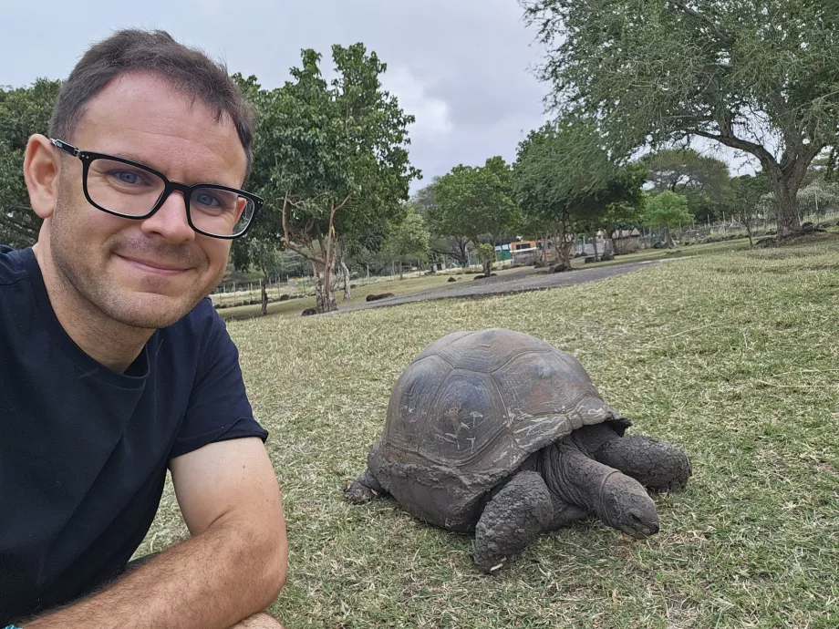 Tortues au zoo de Casela