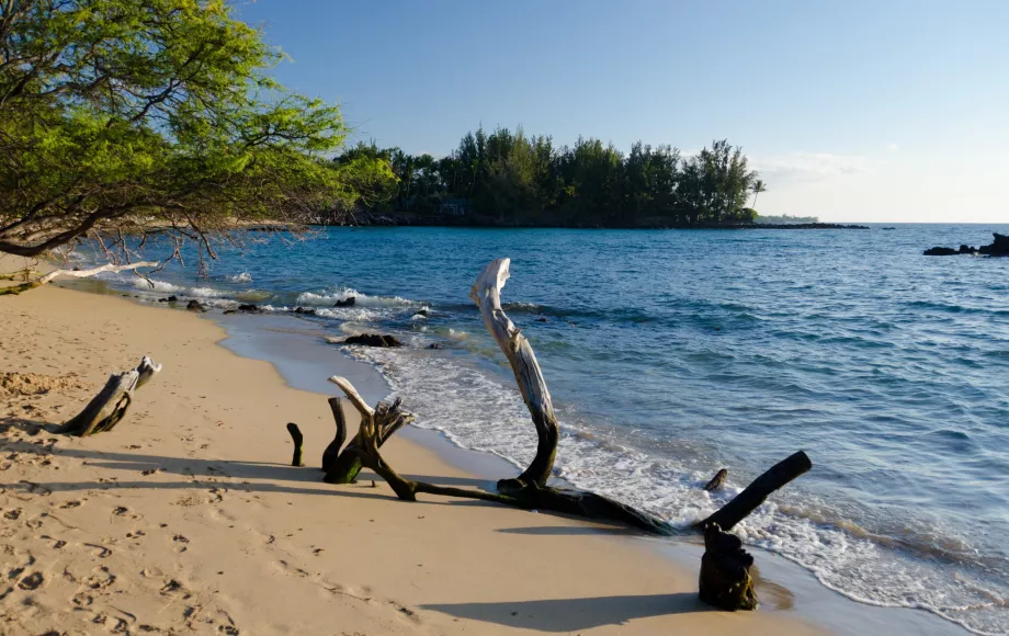 Plage de Waialea