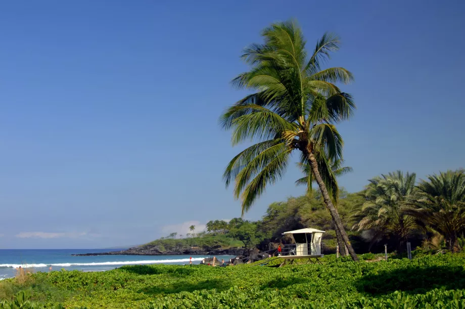 Plage de Spencer