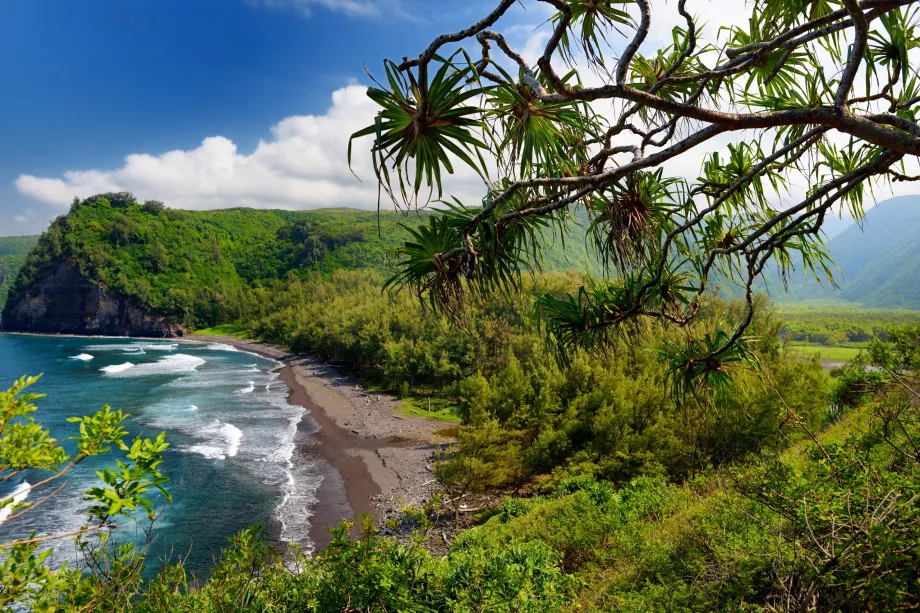 Sentier Pololu