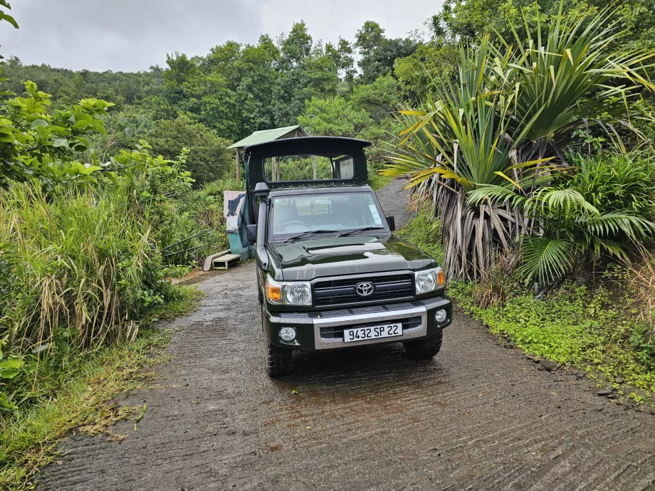 Jeep dans la forêt d'ébène