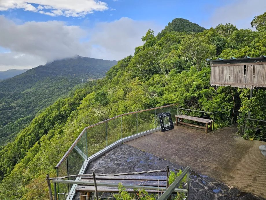 Vue du café d'Ebony Forest