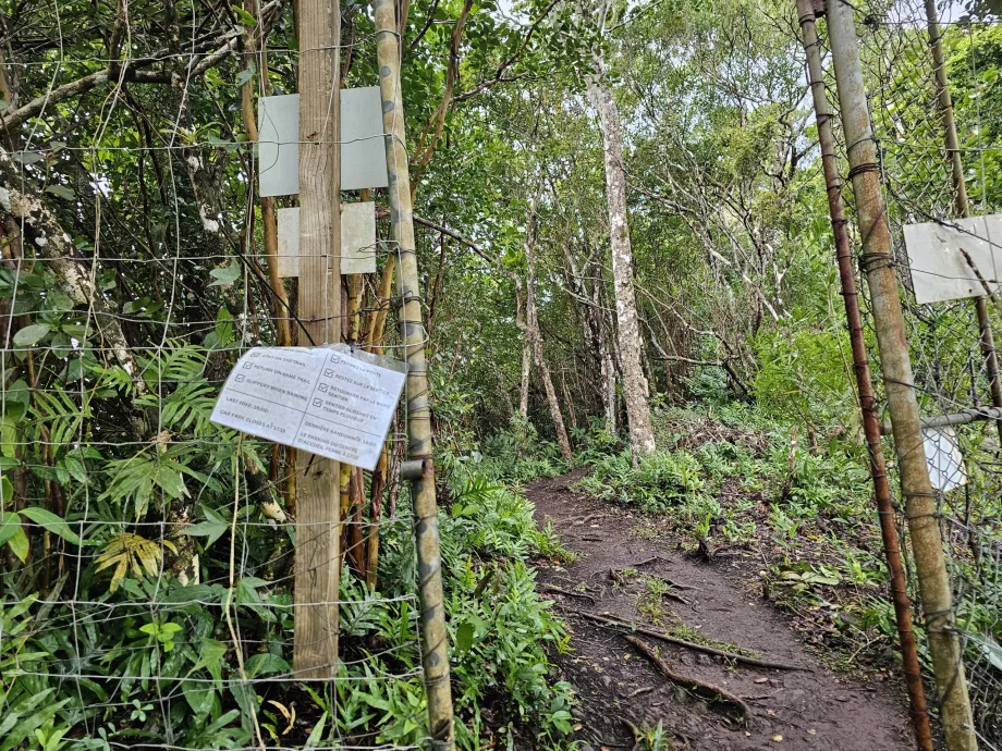 Entrée du Piton du Canot