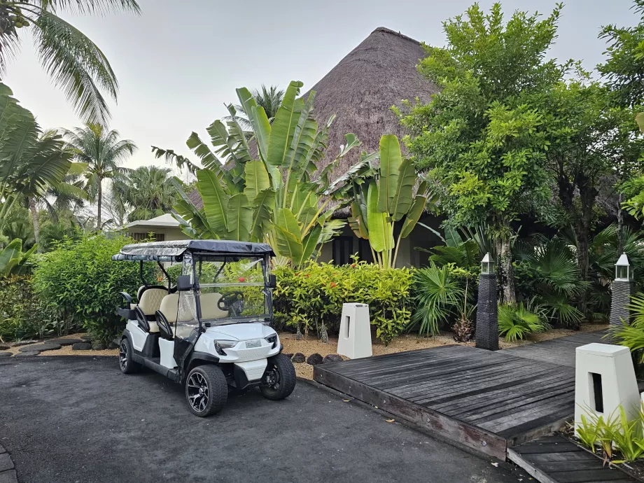 Voiturette de golf