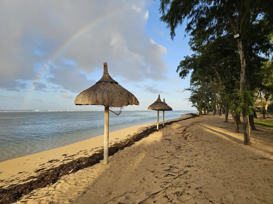 Plage de l'hôtel