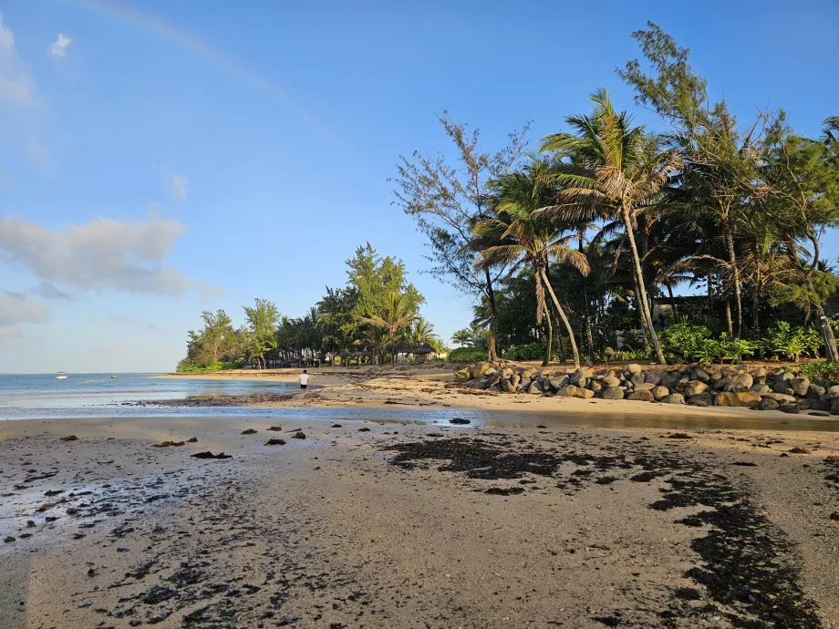 Plage de l'hôtel
