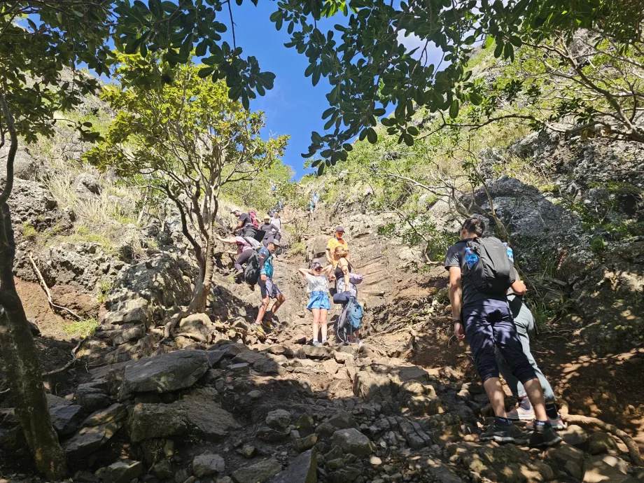 La première section difficile