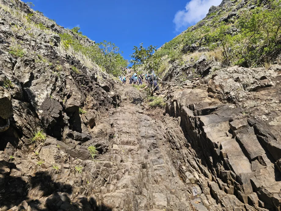 Section escalade