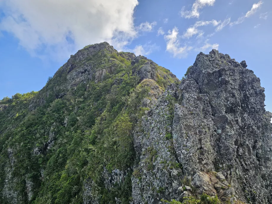 Le véritable point fort du Morne