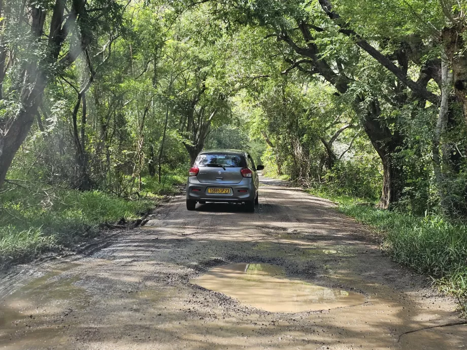 Route d'accès au Morne