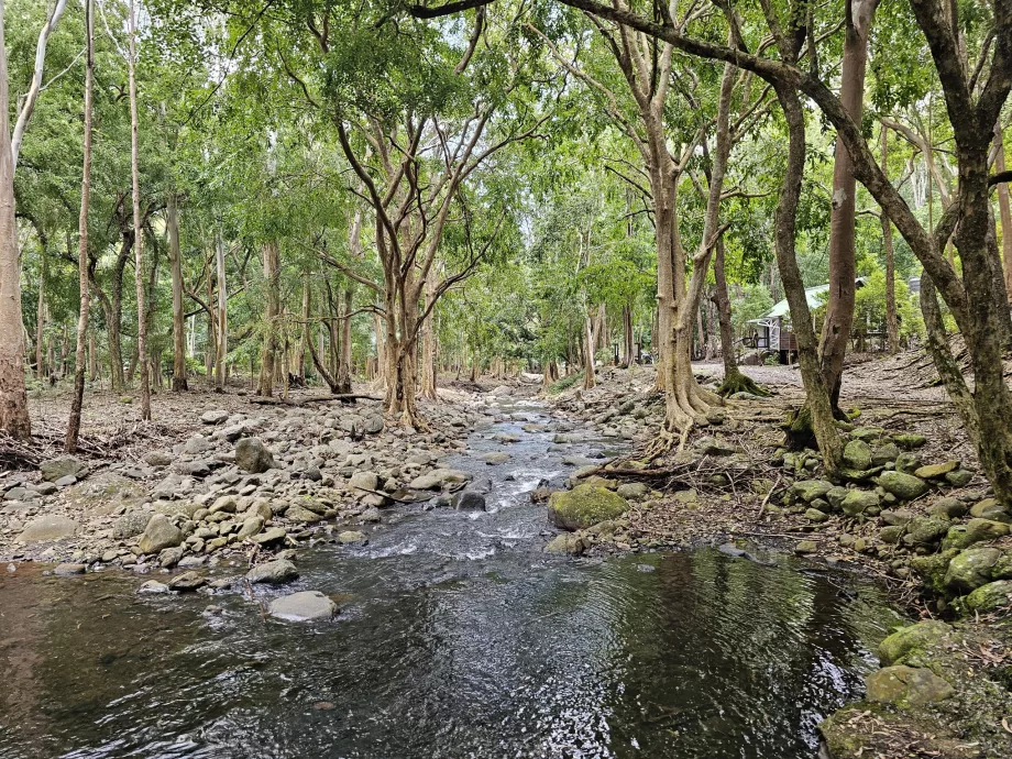 PN des Gorges de la Rivière Noire