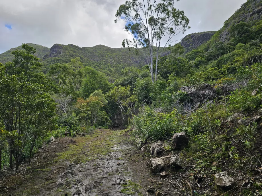 PN des Gorges de la Rivière Noire