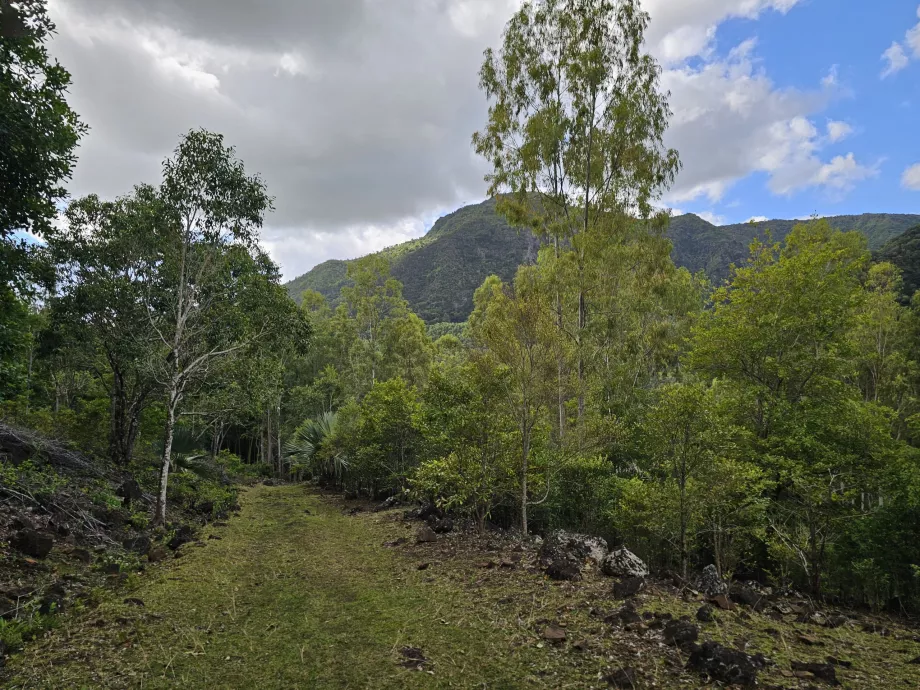 PN des Gorges de la Rivière Noire