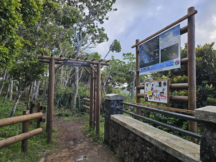 Sentier du pic de la rivière Noire