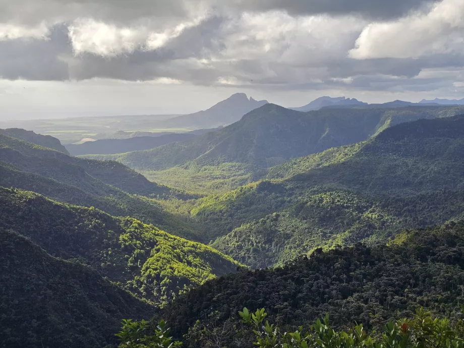 Point de vue sur les gorges