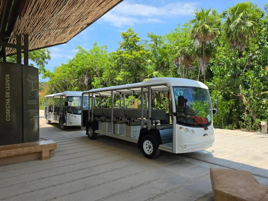 Site archéologique de Tulum, transport en bus électrique