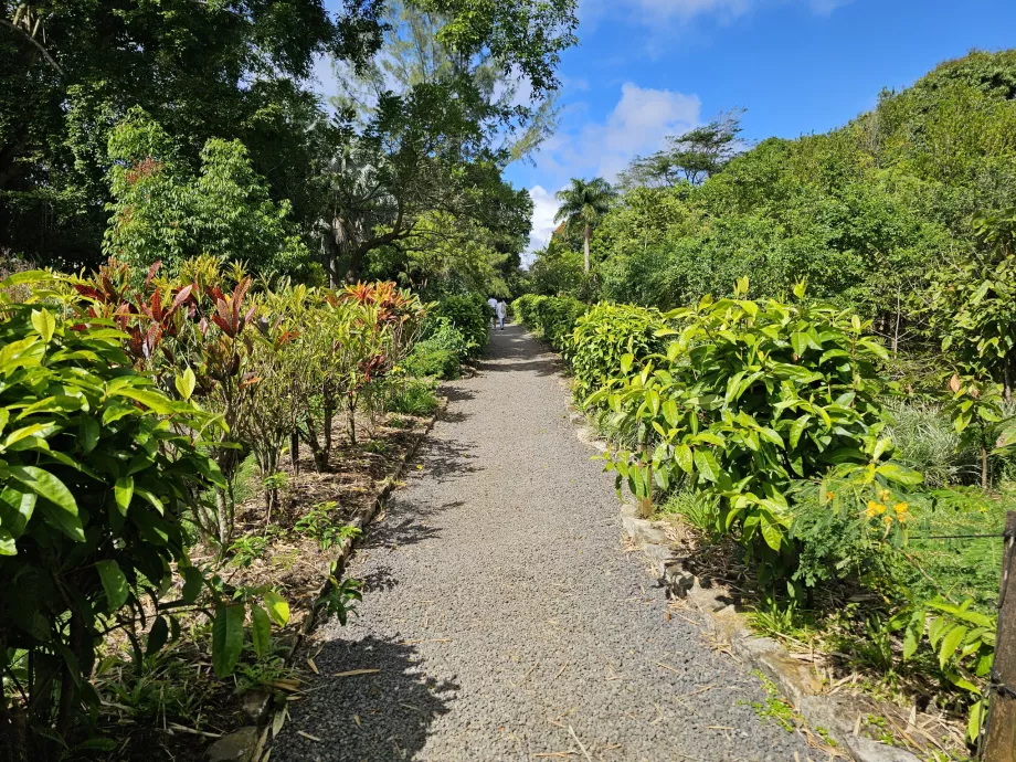 Saint Aubin, jardin botanique