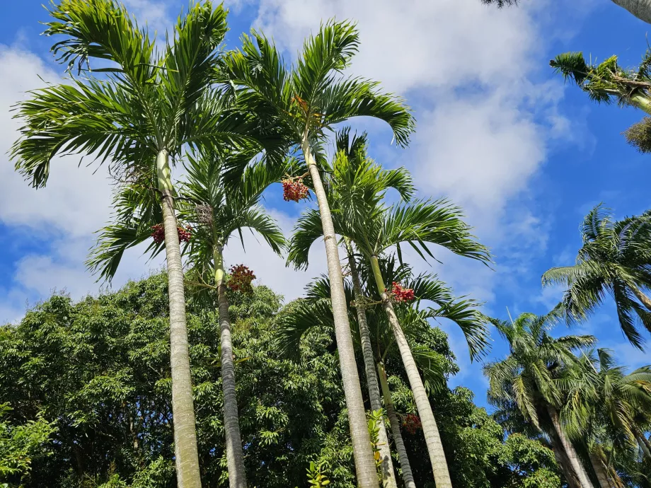 Saint Aubin, jardin botanique
