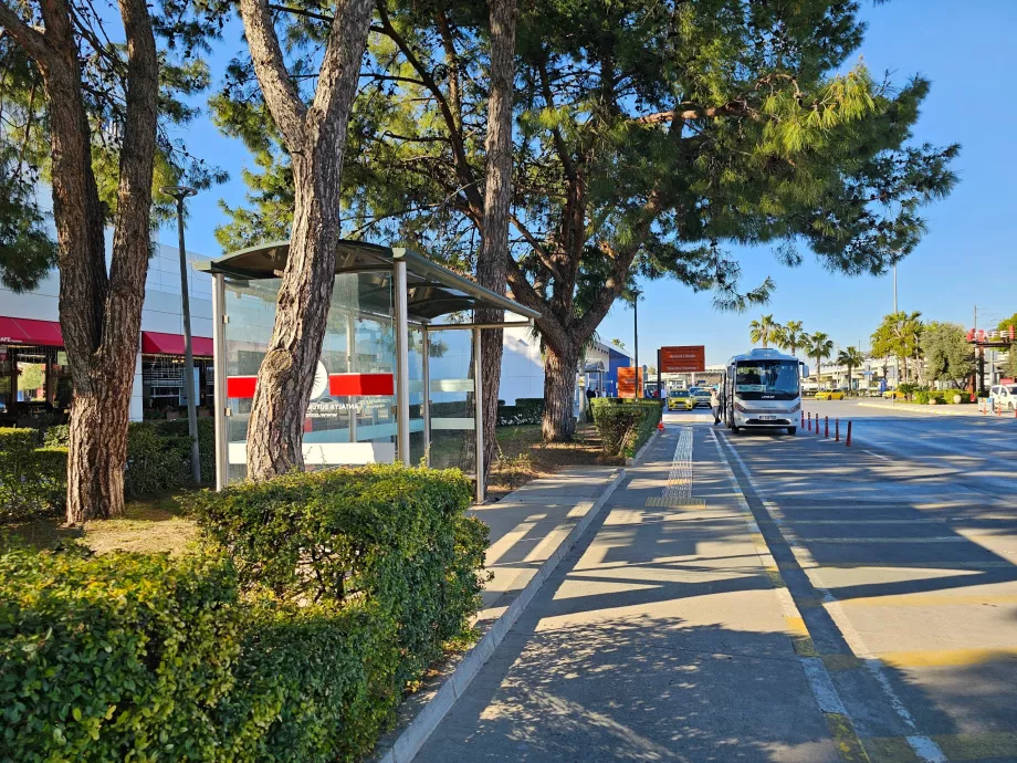 Arrêt de bus devant le terminal 1