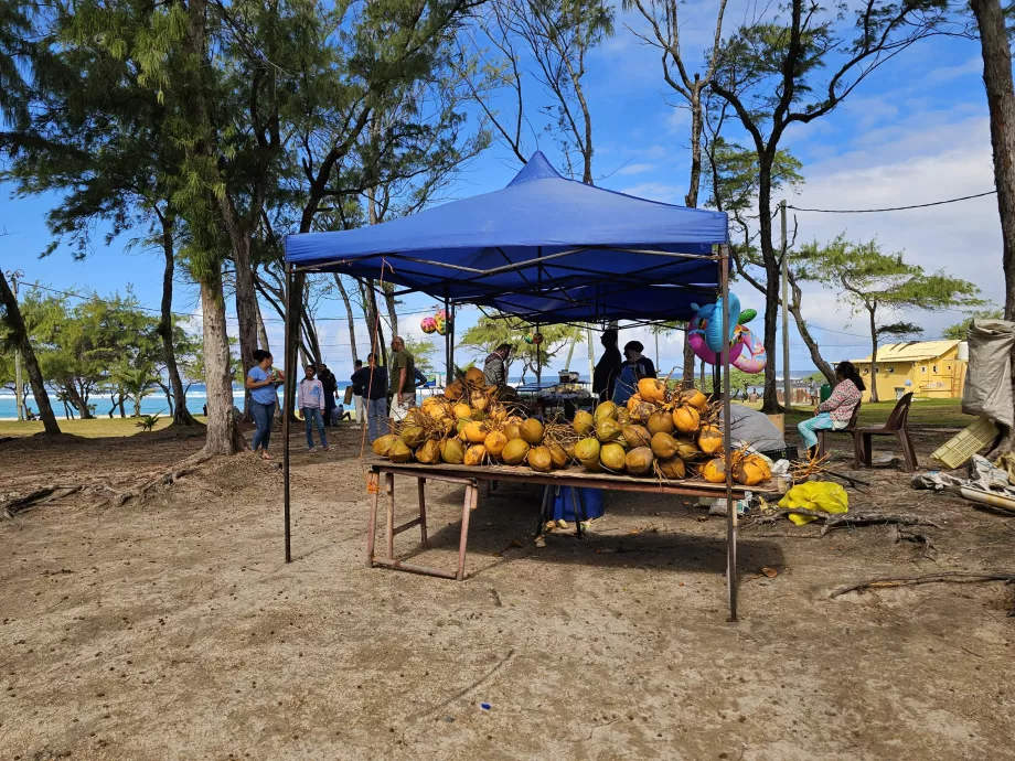 Noix de coco sur la plage