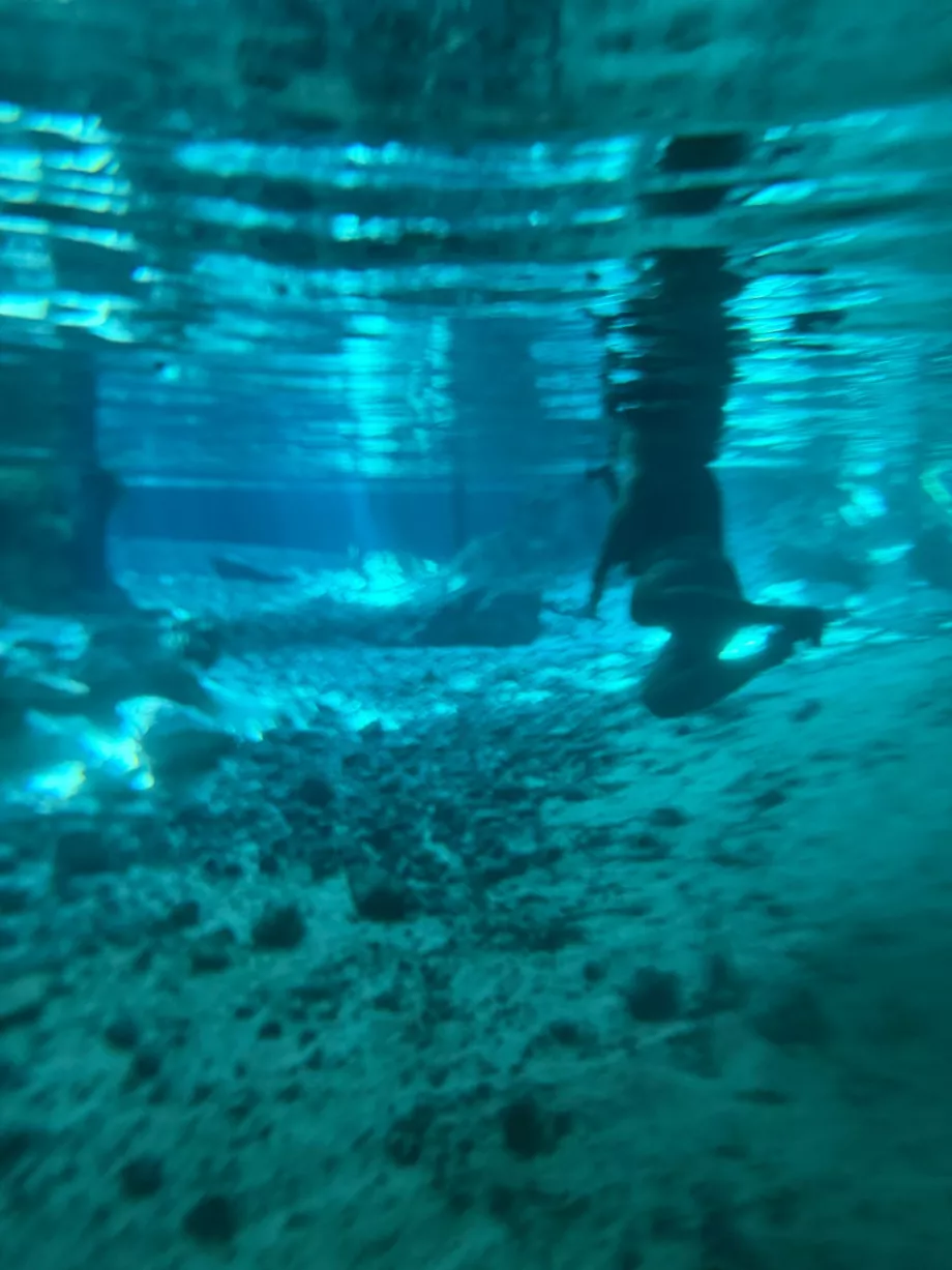 Une vue sous l'eau au Gran Cenote