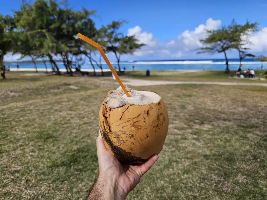 Noix de coco sur la plage