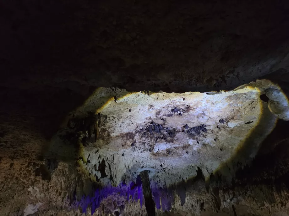 Grotte d'Aktun Chen