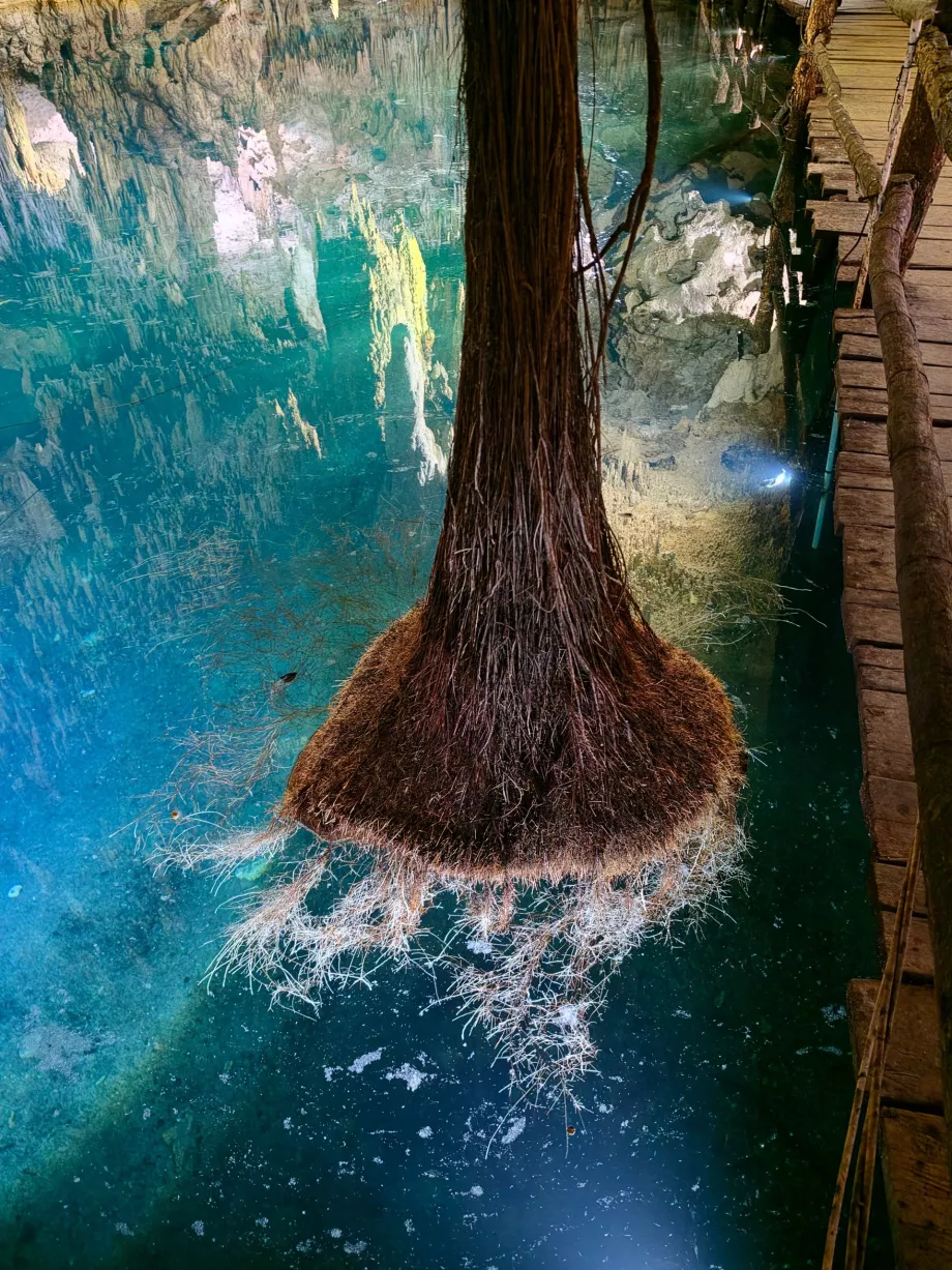Grotte d'Aktun Chen
