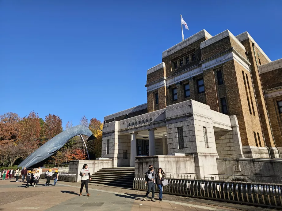 Musée d'histoire naturelle